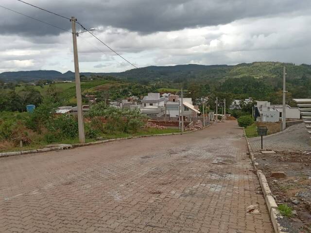 Vista do Lote 54