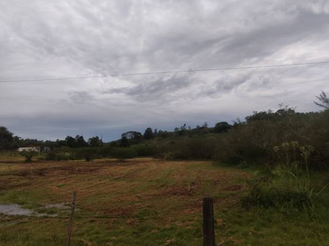 #46 - Sala para Venda em Capela de Santana - RS - 3