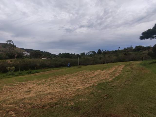 Sala para Venda em Capela de Santana - 4