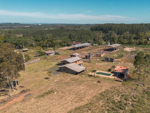 Chácara para Venda em Montenegro - 4